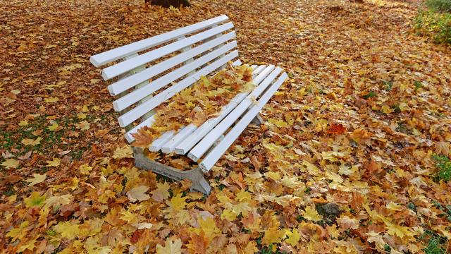 Wetter: DWD: Warmes Oktoberwetter in Sachsen-Anhalt