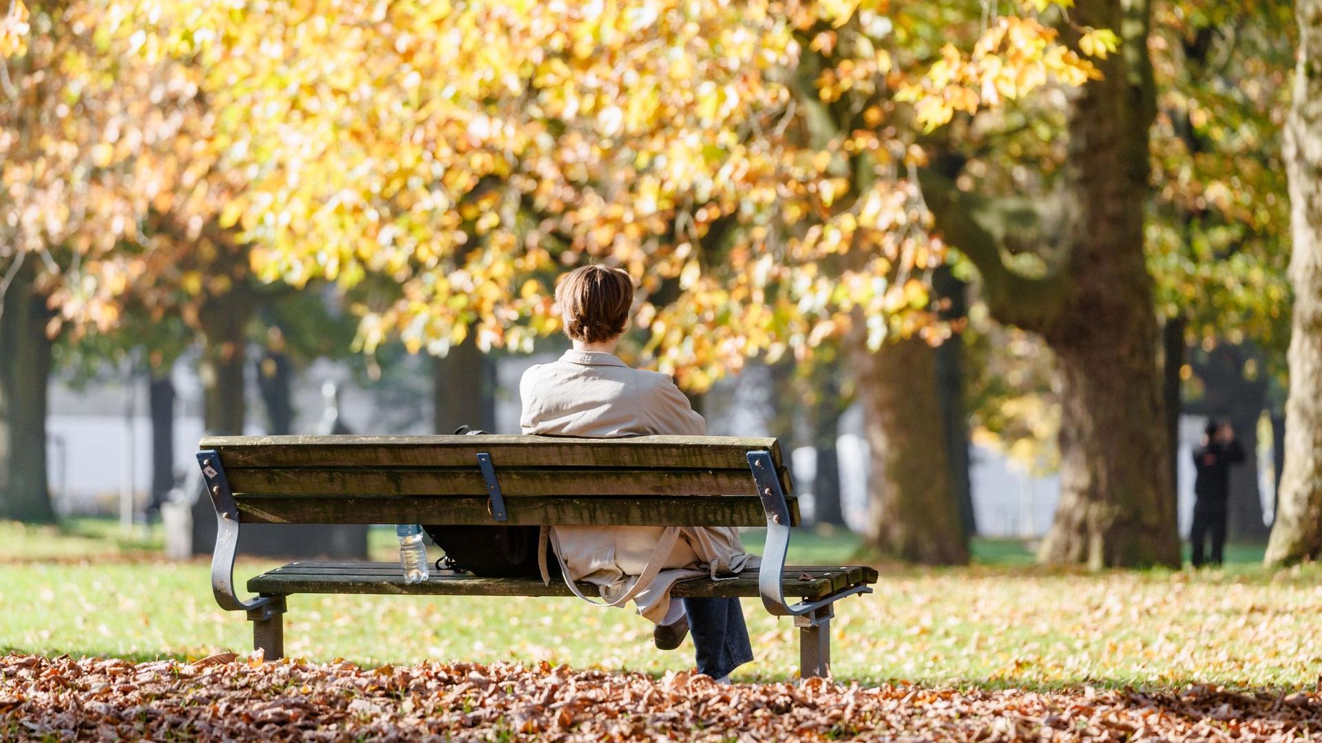 Wetterbilanz: Milder und sonniger Oktober in Hamburg