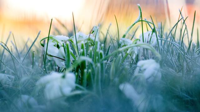 Wetter: Oktober in Bayern: Zwischen spätsommerlich warm und Frost