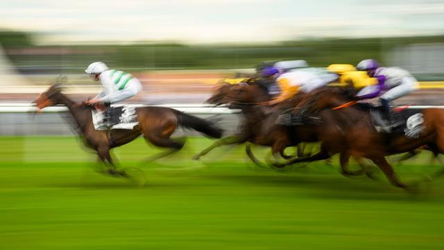 Zuwendung für Rennclub Halle: Geld vom Land für Pferdezucht an Galopprennbahn in Halle