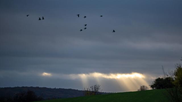 Wetter: Wetter-Mix zum Ende der Woche