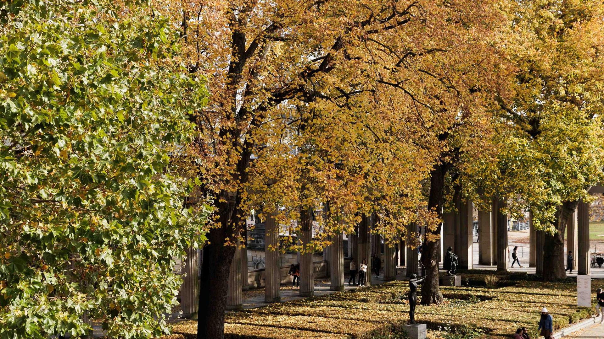 Wettervorhersage: Mildes Herbstwetter in Berlin und Brandenburg