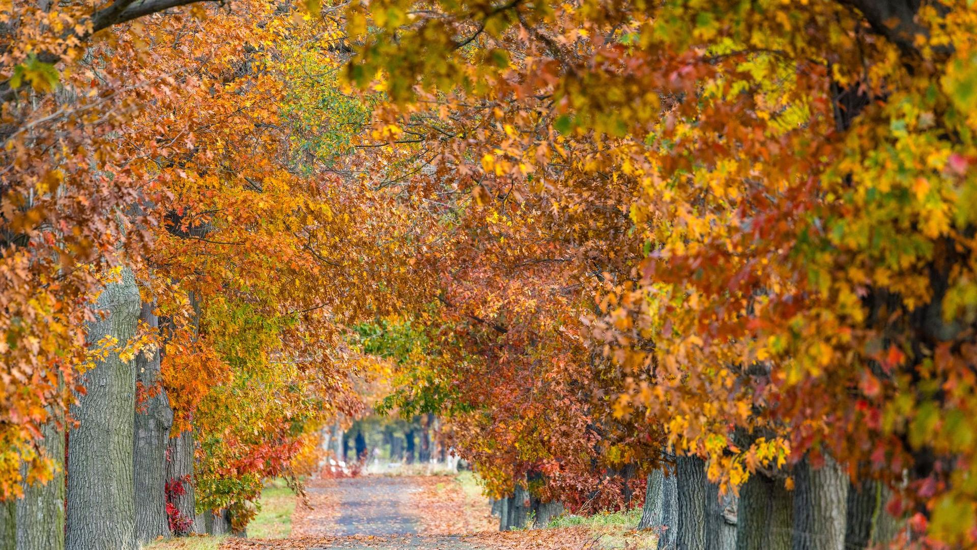 Wetter: Heiter bis wolkig: Wetter in Berlin und Brandenburg