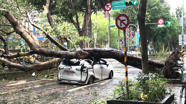 Taifun: Japan bereitet sich auf Tropensturm «Kong-rey» vor