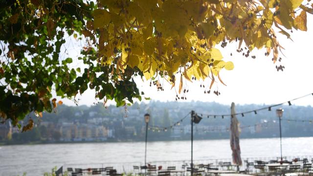 Wetter: Sonne, Wolken und Nebel in Rheinland-Pfalz und im Saarland