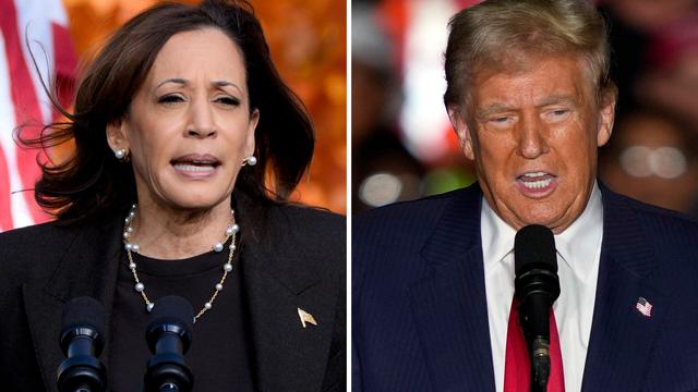 US-Wahlkampf: Endspurt: Harris und Trump buhlen um die gleichen Wähler