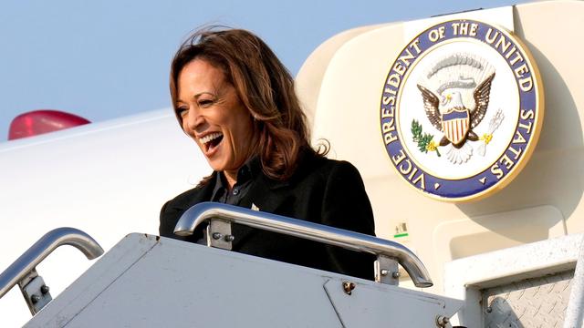 Wahl des US-Präsidenten: Kandidatin der Demokraten: Wer ist Kamala Harris?