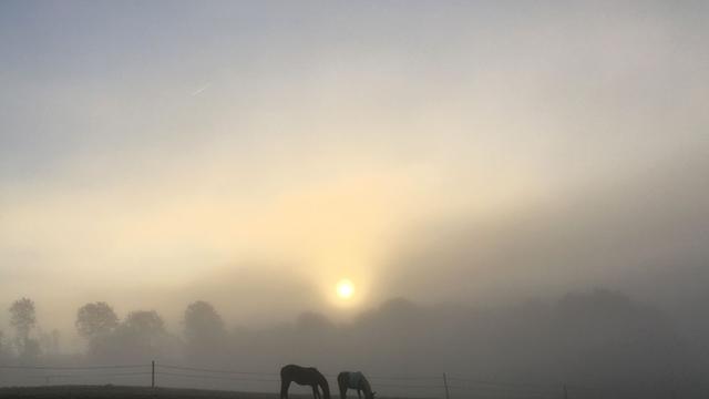 Wetter: Mix aus sonnig und neblig-trüb in NRW bis zum Wochenende