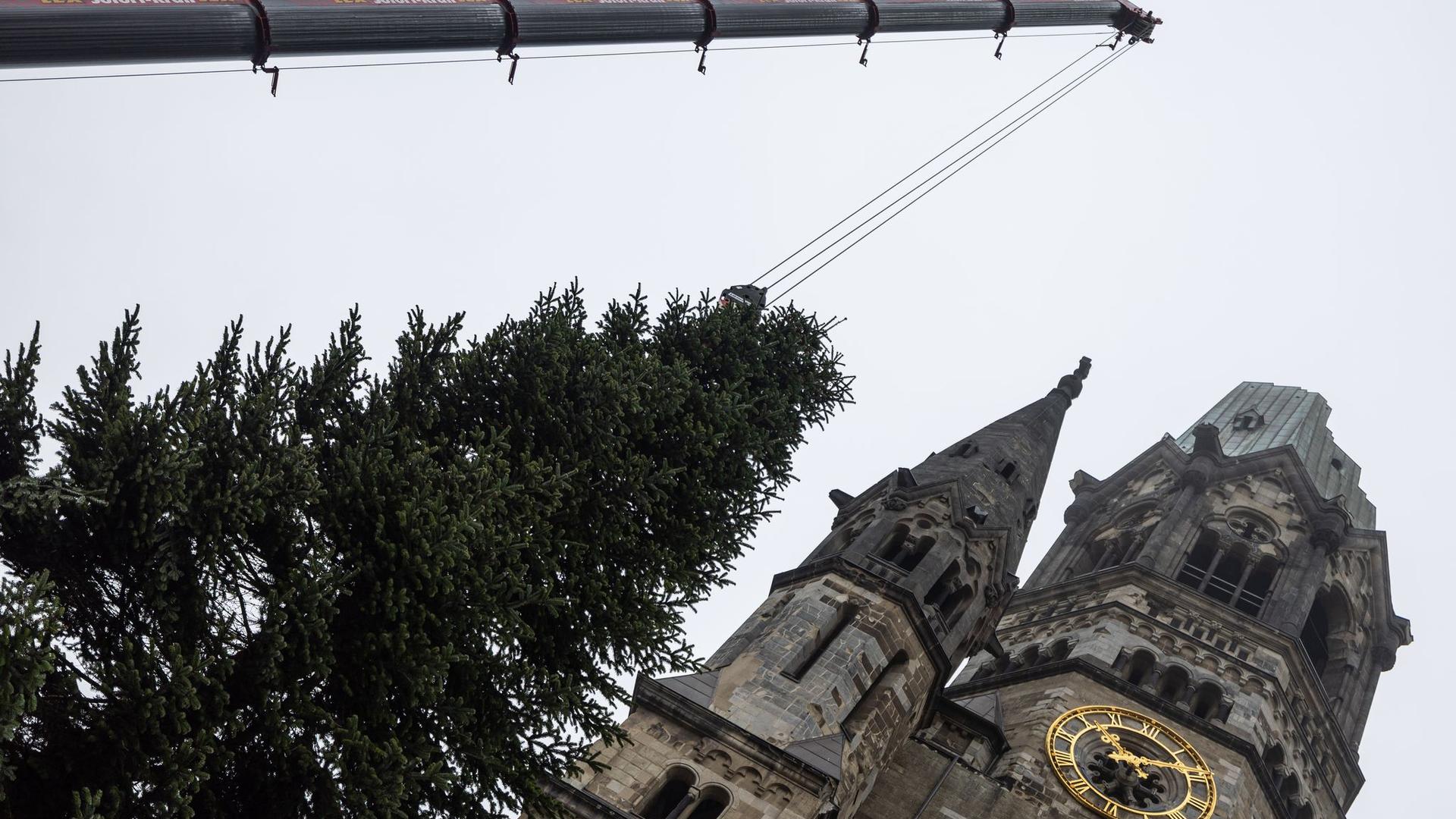 Tannenbaum an Gedächtniskirche: Berliner Weihnachtsbaum pannenfrei gelandet