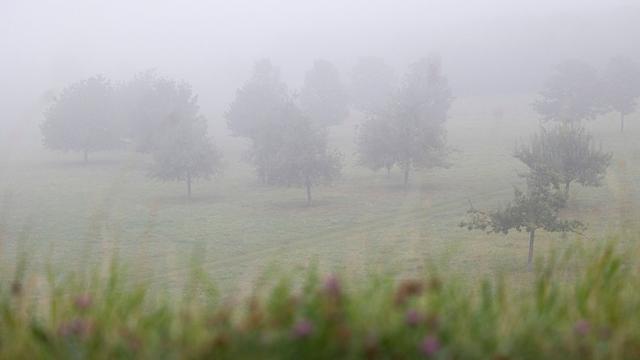 Deutscher Wetterdienst: Nebelwetter in Niedersachsen und Bremen