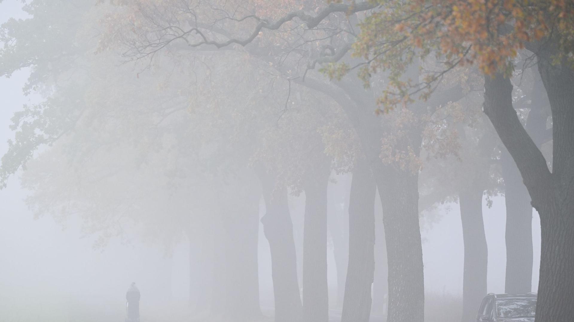 Deutscher Wetterdienst: Neblig-trübes Herbstwetter in Hamburg und Schleswig-Holstein