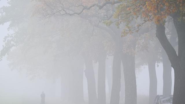 Deutscher Wetterdienst: Neblig-trübes Herbstwetter in Hamburg und Schleswig-Holstein