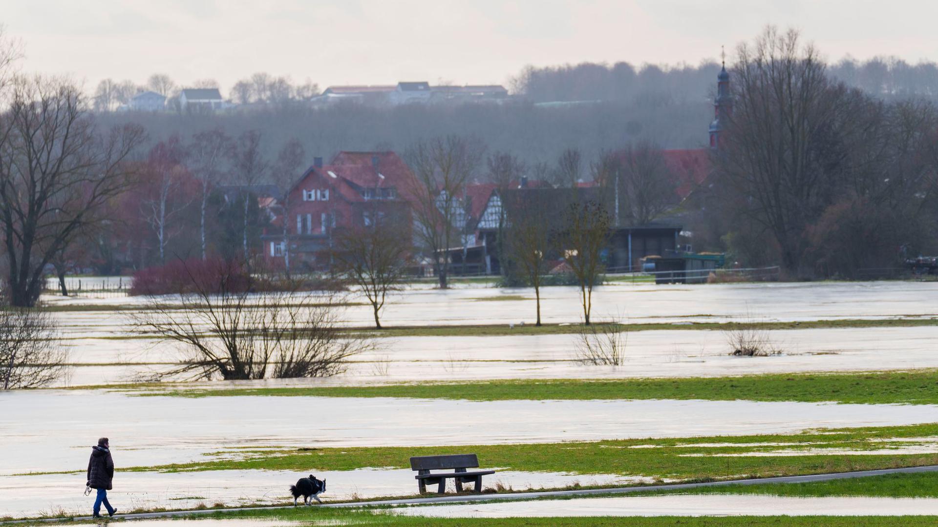 Wasserschutz: Flüsse für den Klimawandel wappnen