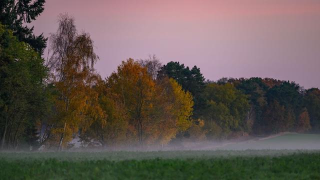 Wetter: Ruhiges und kühles Herbstwetter in Brandenburg