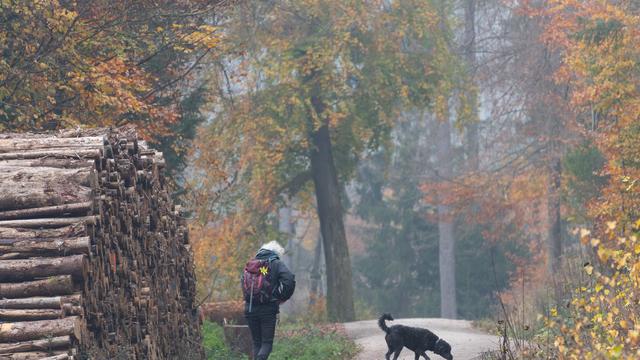 Wettervorhersage: Wetter in Hessen vor allem grau