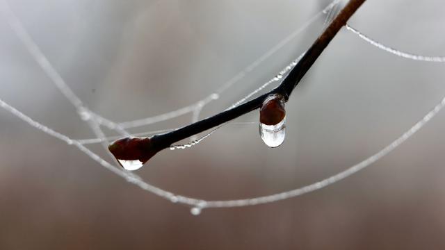 Wetter: Regen und Nebel in Sachsen-Anhalt