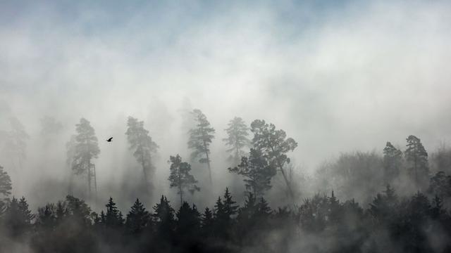 Wetter: Trübe und nasse Wetteraussichten für Thüringen