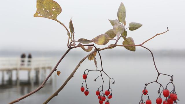 Wetter: Regnerisches Novemberwetter setzt sich fort