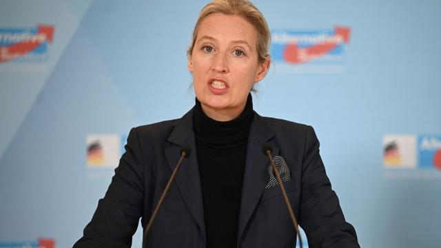 Rechtsextremismus-Verdacht: Vorgezogene Wahl verzögert Neubewertung der AfD