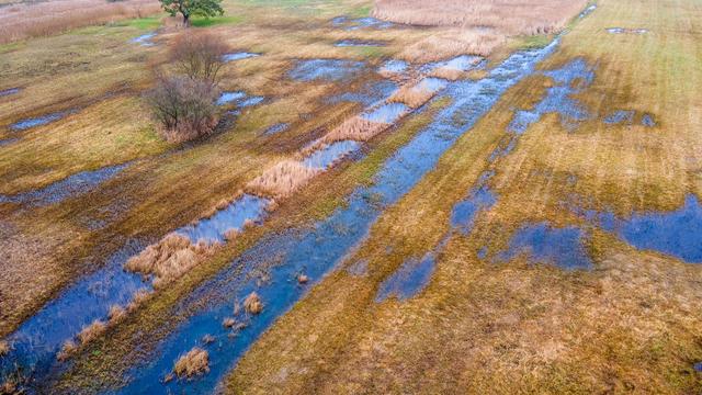 Klimaschutz: Daten zu Treibhausgas-Ausstoß in MV mehrere Jahre alt
