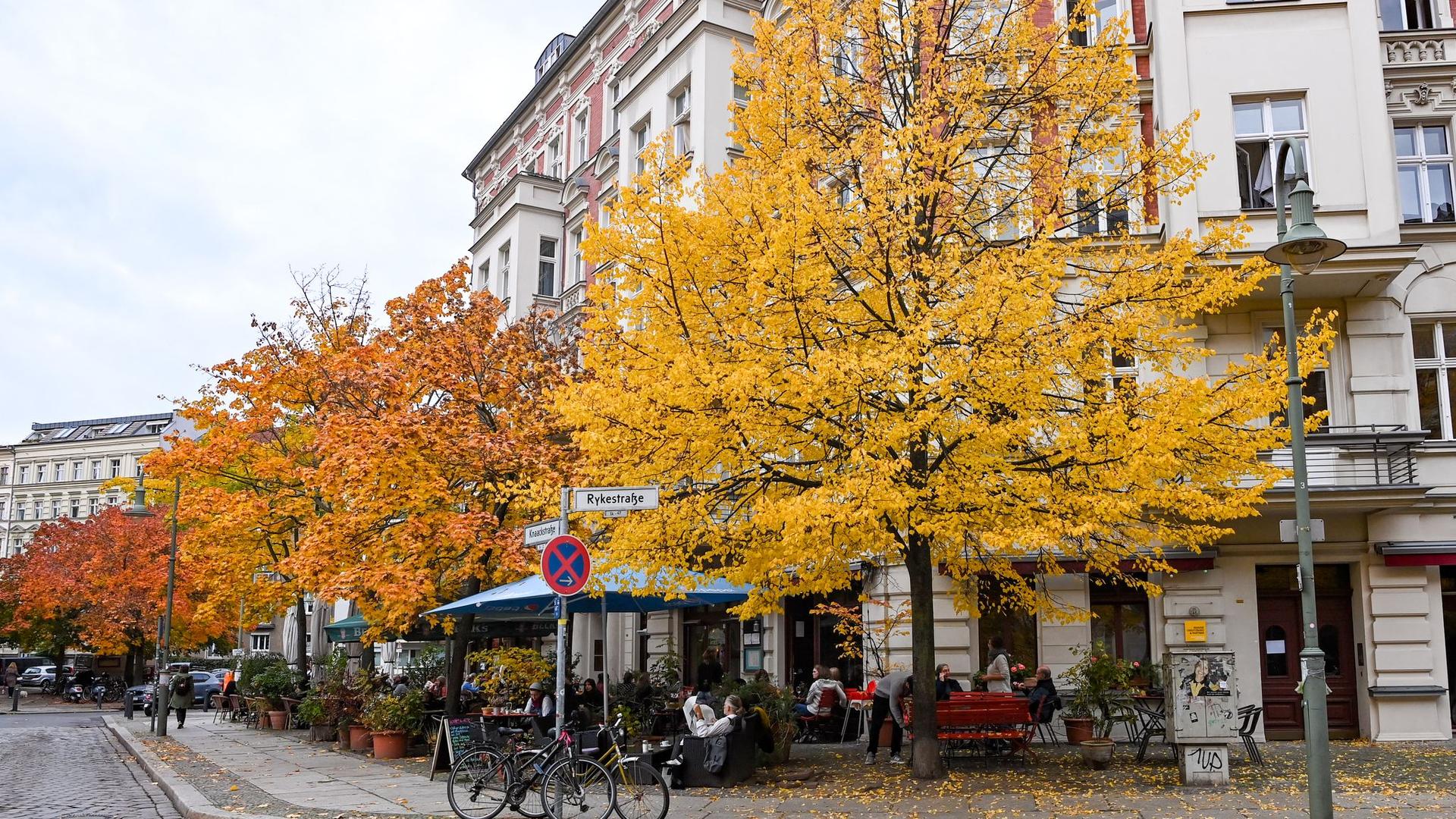 Klimawandel: Initiative beantragt Volksbegehren für hitzesicheres Berlin