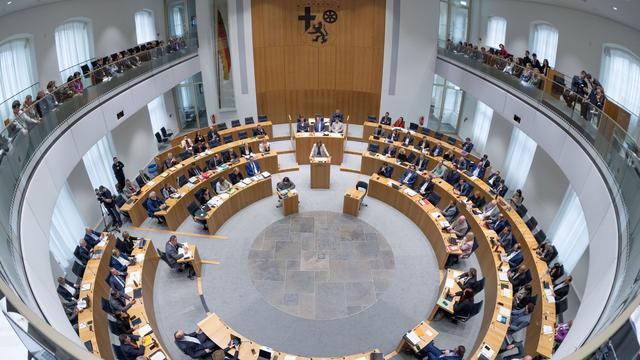 Parlament: Landtagsthemen: Lage der Winzer, US-Wahl und Unimedizin