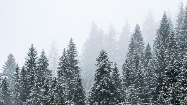 Wetter: Schneefall in Baden-Württemberg