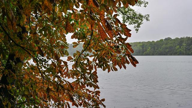 Wetter: Wolkenverhangene Aussichten für Berlin und Brandenburg