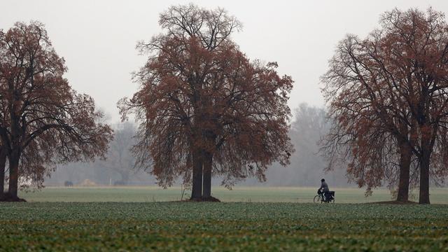 Wetter: Herbstlich graues Wetter in Sachsen - dann Regen und Schnee