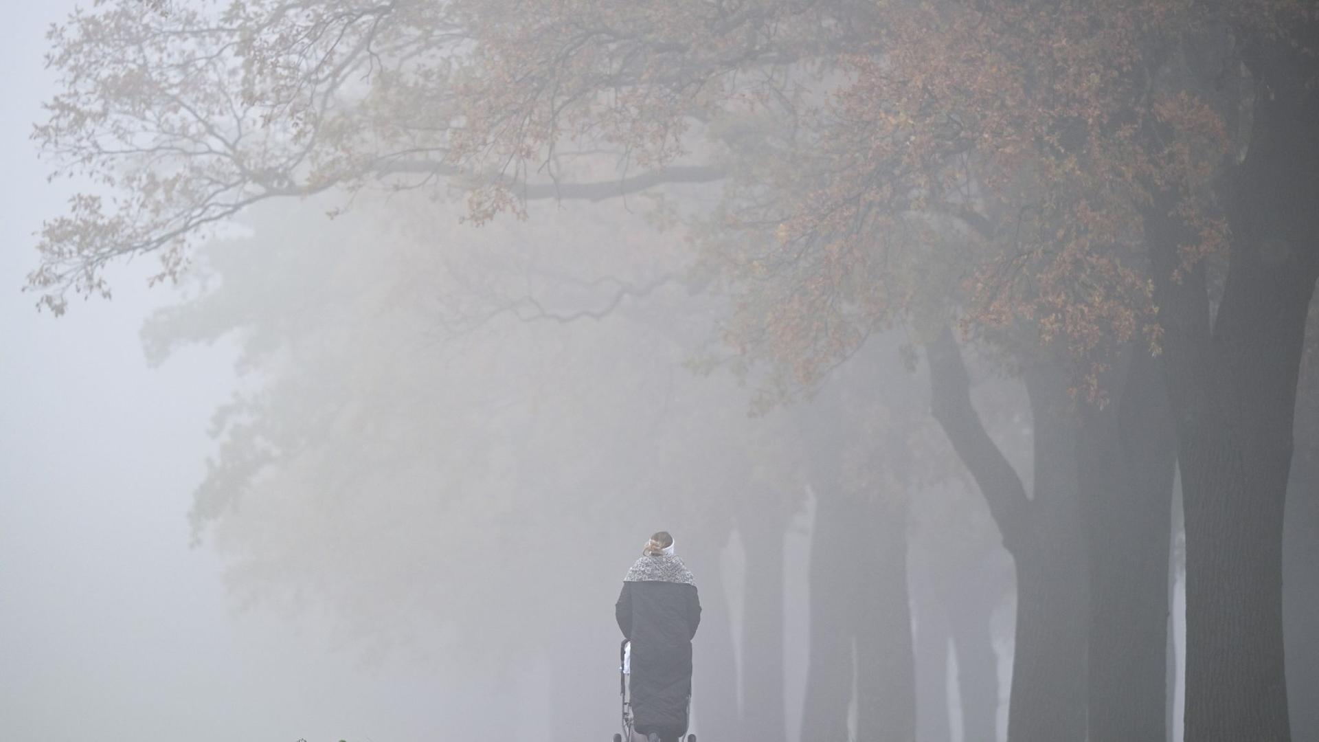 Deutscher Wetterdienst: Herbstliches Grau in Hamburg und Schleswig-Holstein