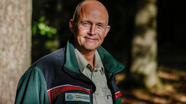 Wald in Schleswig-Holstein: Landesforsten-Chef möchte sachlichen Austausch über den Wald