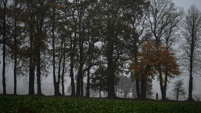 Wetteraussichten: Regen und sinkende Temperaturen in Niedersachsen und Bremen