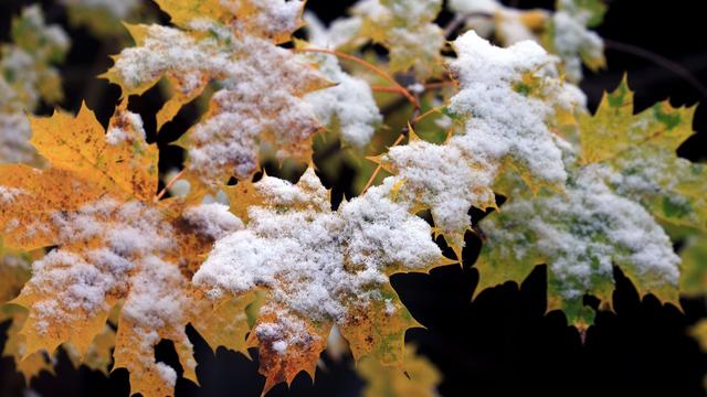 Wettervorhersage: Neue Woche bringt Schnee nach Bayern