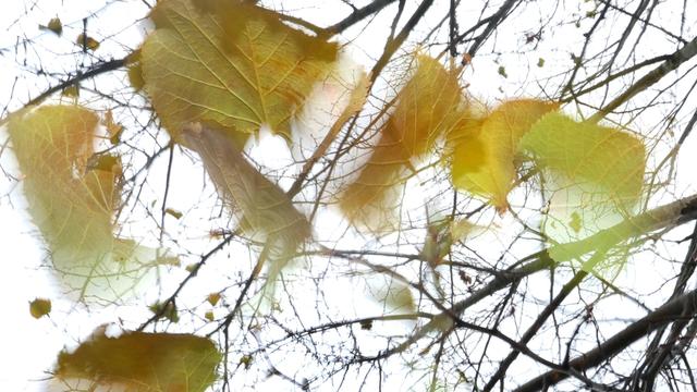 Wettervorhersage: Unbeständig und kühl - trübe Aussichten beim Wetter