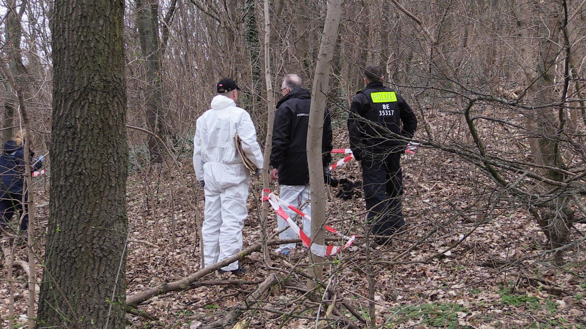 Ungeklärter Kriminalfall: Oberschenkel-Fund in Berliner Park - Leiche fehlt weiterhin