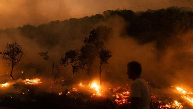 EU-Kommission: Bericht: 2023 eines der schlimmsten Waldbrandjahre in Europa