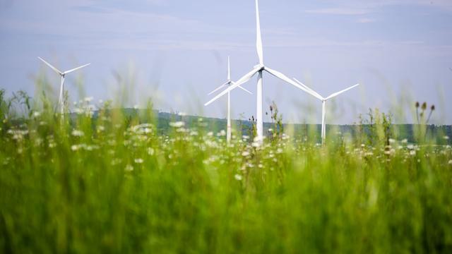 Nachhaltige Anlageprodukte: Nachhaltigkeitsbewertungen in EU sollen transparenter werden