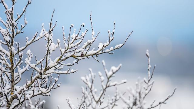 Wetter: Schnee und Glätte da - aber Glühwein gibt es im Sonnenschein