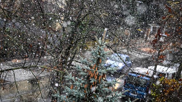 Wetter: Schneeregen und Glätte in Berlin und Brandenburg erwartet