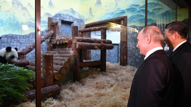 Tierdiplomatie: Tauschgeschäft? Russland sendet Zootiere nach Nordkorea