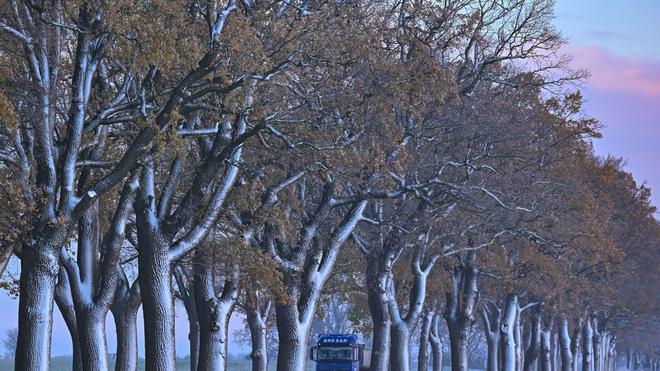 Wetter: An Lkw fährt on a winter light fresh alley in the Oder-Spree district in East Brandenburg. On Wednesday it gets warmer and the white Pracht schwindet. (Symbol image)