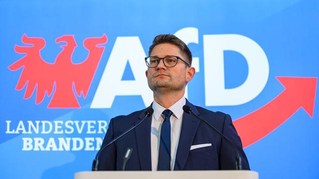 Kandidaten für Neuwahl: AfD-Landeschef Springer ist Spitzenkandidat in Brandenburg