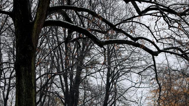 Wetterwechsel: Warme Luft auf dem Weg in den Norden