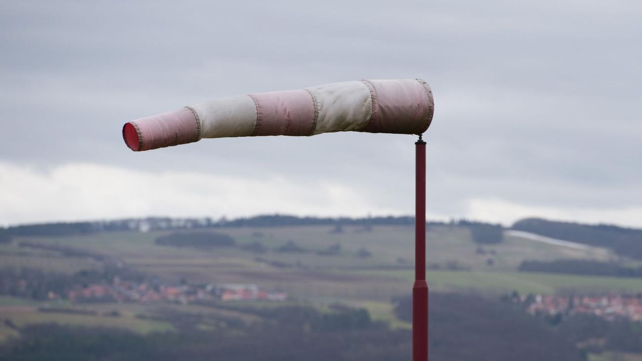 Pulled dynamically from the source outlet