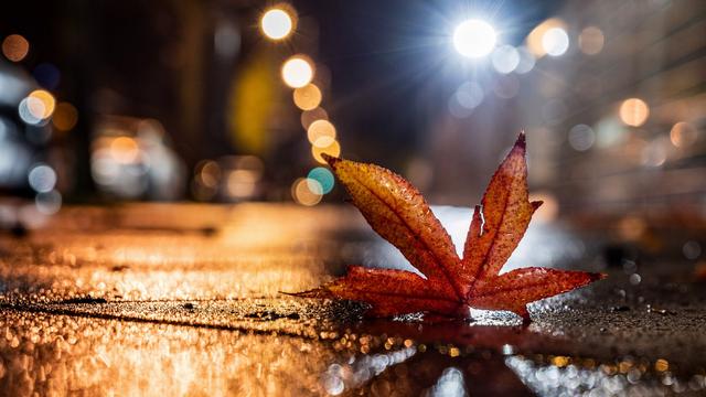 Wetterbilanz: Der Herbst war nirgends so nass wie im Saarland