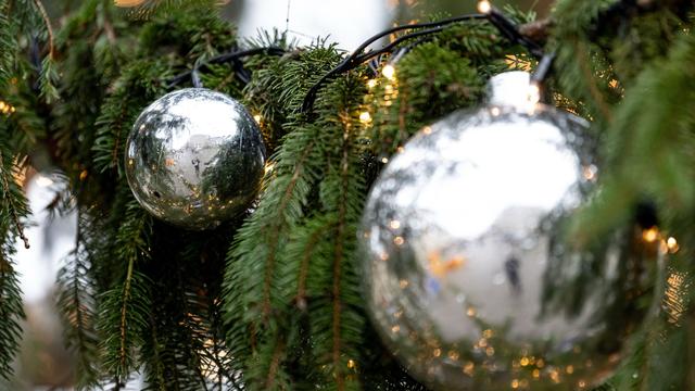 Weihnachtsmarkt: Unbekannte wollen Heidelberger Weihnachtsbaum stehlen