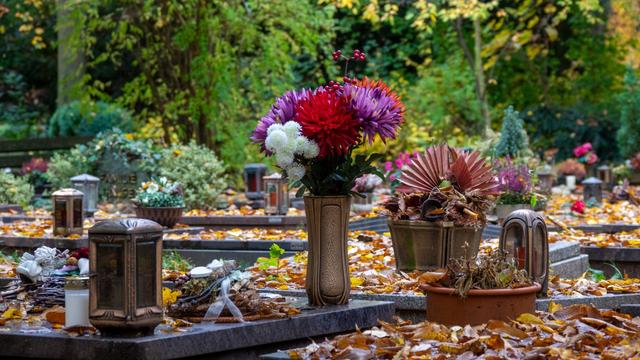 Preisdifferenzen bei Grabarten: Studie: Große Unterschiede bei Friedhofsgebühren