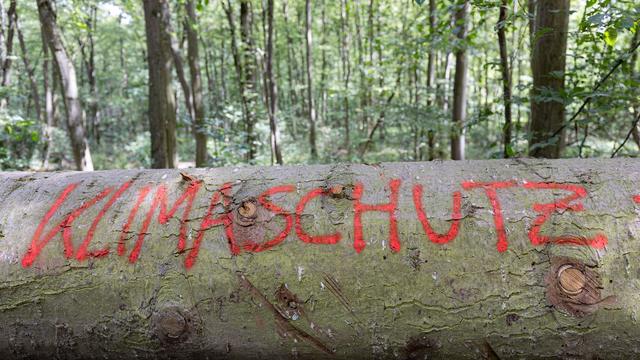 Umwelt: Grüne beklagen Rückschritte bei Energiewende und Klimaschutz