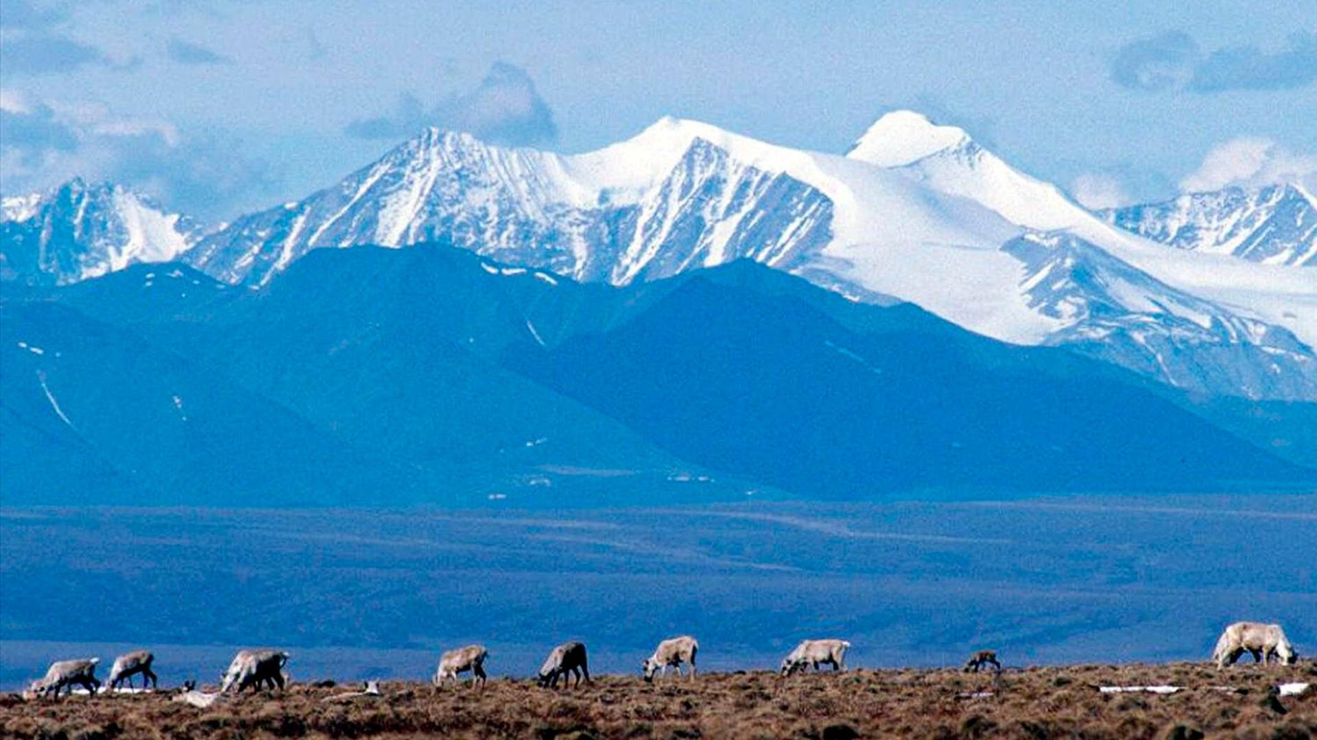 Klimawandel: US-Klimabehörde: "Dramatische Veränderungen" in der Arktis