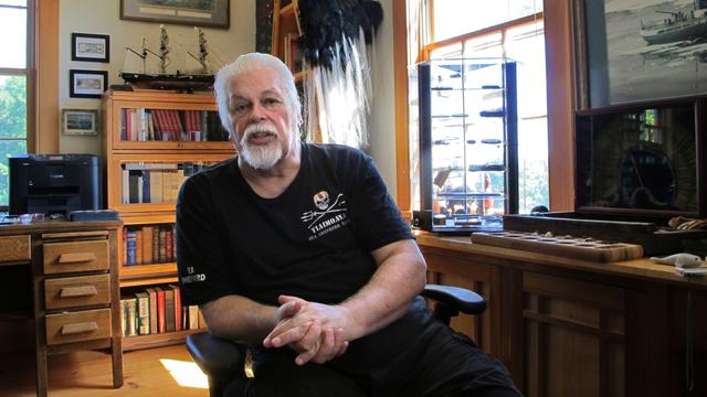 Umweltschützer: Walfanggegner Paul Watson wird nicht an Japan ausgeliefert